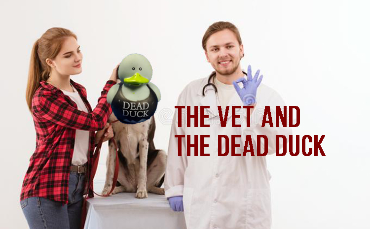 The Vet And The Dead Duck