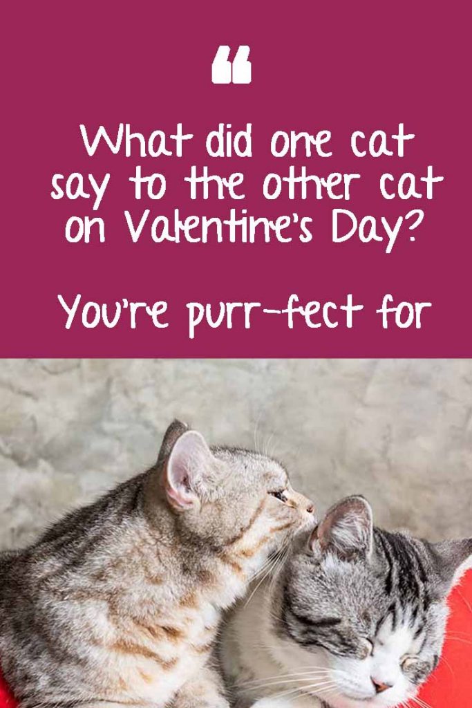 Valentine's Day Memes 